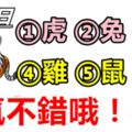 6月5日，生肖虎、兔、羊、雞、鼠、狗！運氣不錯哦！