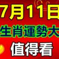 7月11日十二生肖運勢大播報，值得看