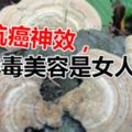 樹上長「舌頭」，以為沒用，卻有抗癌神效，可排毒美容是女人福音