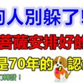 屬狗人別躲了，都是菩薩安排好的，尤其是70年的，認命！