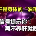 肝是身體的「油箱」，這些信號提示你：再不養肝就晚了！