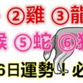 10月6日，12生肖運勢！牛、雞、龍、猴、蛇、狗！必轉！