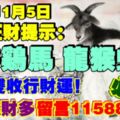 今天11月5日,每日旺財提示：羊牛雞馬，龍猴蛇兔。福祿雙收行財運！財旺錢財多留言11588必轉！