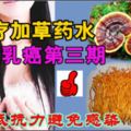 化療加草藥水戰勝乳癌第三期