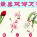 愛情測試：選一支喜歡的花，測你會被哪種男人征服