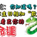 屬相蛇：你生日相加的「數位」可以看出你的命運，你知道嗎？