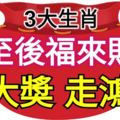 冬至節後福來財到，運勢如虎添翼，中大獎走鴻運的生肖！