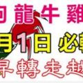 1月1日元旦！請為屬狗、龍、牛、雞、羊的人轉發！祈求平安！