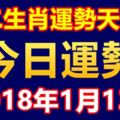 十二生肖運勢天天看，今日運勢：1月13日