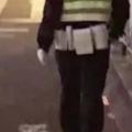 暖心！流浪狗夜裡向執勤交警求助，交警：「別怕，我帶你回家」