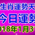 十二生肖運勢天天看，今日運勢：2018年1月31日