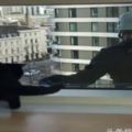大叔高空擦窗巧遇貓開始挺高冷，後來讓網友笑噴：上班吸貓舉報了