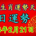 十二生肖運勢天天看，今日運勢：2018年2月21日