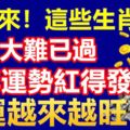 好運來！這些生肖人生大難已過，狗年運勢紅得發紫，財運越來越旺