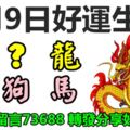 3月9日好運生肖，好運臨門發大財！【龍＋？＋兔＋羊＋狗＋馬】『上榜請留言73688轉發分享好運自來』