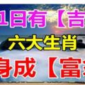 4.11日有吉兆，六大生肖翻身成富翁！