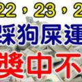 6月222324號，這些生肖踩狗屎運！橫財大發800萬！