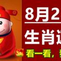 8月28號生肖運勢早知道