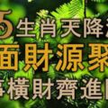 9月份，5生肖天降鴻運，四面財源聚集，喜事橫財齊進門，萬事大吉！