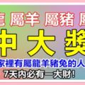 你家裡有屬龍羊豬兔的人嗎？今天請為他們積財積福，7天內必有一大財！