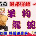 9月26日時來運轉一路發，羊狗鼠龍蛇馬，88秒內打開好運跟著來『16888』