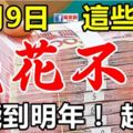 11月9日，這些生肖翻身大轉運，數錢到年尾，錢註定花不完