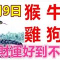 11月9日生肖運勢_猴、牛、龍大吉