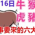 11月16日生肖運勢_牛、猴、龍大吉