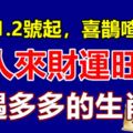 12月1.2號起，喜鵲喳喳叫，貴人來財運旺，機遇多多的生肖