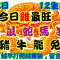 2018年12月2日，星期日農歷十月廿五（戊戌年癸亥月戊辰日）