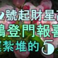 1月2號起財星高照，喜鵲登門報喜，好運紮堆的5大生肖！