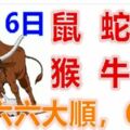 2月16日生肖運勢_鼠、蛇、龍大吉