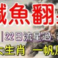 2月20，21，22日流星過，黴運走，三大生肖鹹魚翻身，一帆風順！