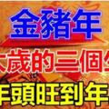 2019年合太歲的三個生肖，從年頭旺到年尾，還不快接福