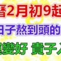 農曆2月初9起，財運變好，貴子入命，苦日子熬到頭的生肖