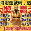 十二生肖財運號碼，這期要你「中大獎，贏大錢！」12組中獎號碼等你選！​