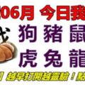 01號06月，今日我最旺！狗豬鼠牛虎兔龍蛇！【16888】越早打開越靈驗！點個讚吧！