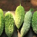 五種瓜都有三個特點：一補水分，二解暑熱，三有營養，正是我們夏季飲食所需。