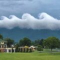 現實中也有「梵谷星夜雲」　女子拍下波浪型捲雲照片：非常罕見
