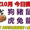 12號10月，今日我最旺！狗豬鼠牛虎兔龍蛇！【12188】越早打開越靈驗！點個讚吧！