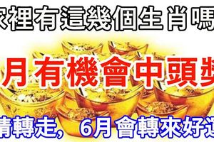家裡有這幾個生肖嗎？6月有機會中頭獎！（請轉走，6月會轉來好運）