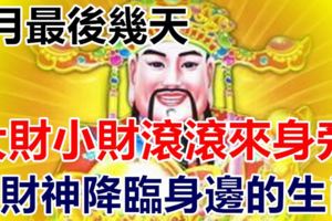 5月最後幾天，財神降臨身邊！大財小財滾滾來身旁的三大生肖！