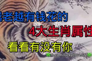 越老越有錢花的4大生肖屬性，看看有沒有你