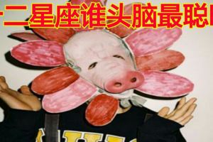 十二星座誰頭腦最聰明