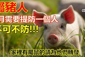 屬豬人：6月需要提防一個人，不可不防！別不信