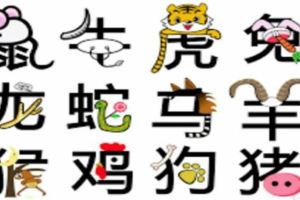 十二生肖的愛情死穴在哪?