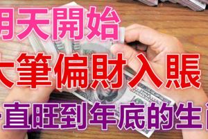 明天開始，大筆偏財入賬，一直旺到年底的3個生肖！