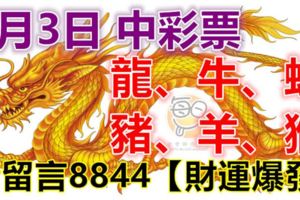 6月3日龍、牛、蛇、豬、羊、猴！中彩票！請留言8844【財運爆發】