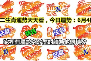 十二生肖運勢天天看，今日運勢：6月4日