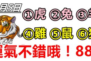 6月5日，生肖虎、兔、羊、雞、鼠、狗！運氣不錯哦！